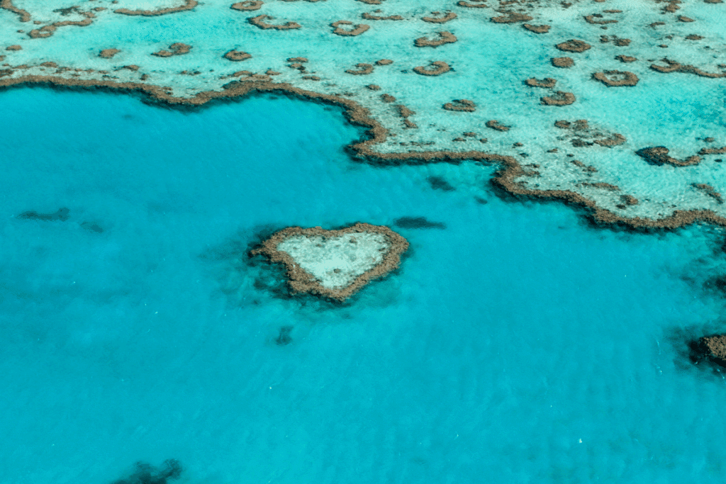 Heart Reef