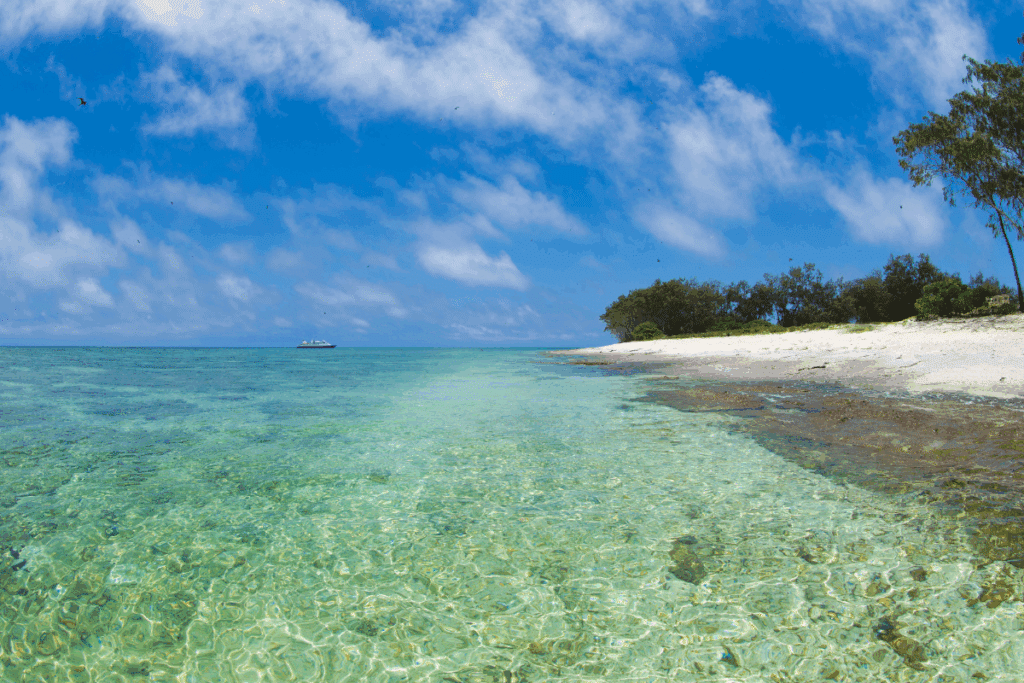Lady Elliot Island
