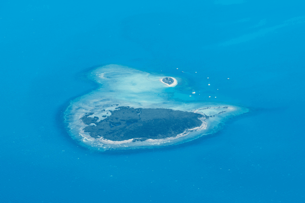 The Low Isles
